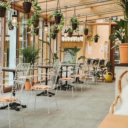 Henri Seefeld (adults Only)